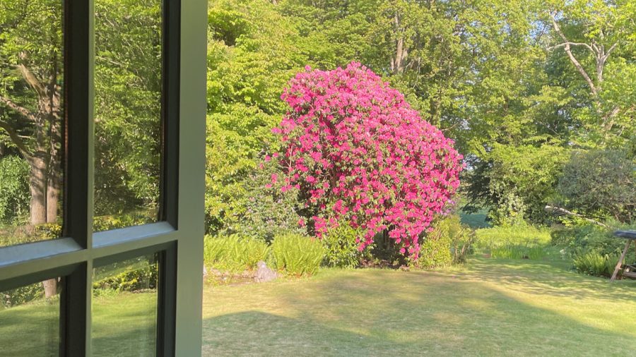 View from the back door of Little Holt in late spring